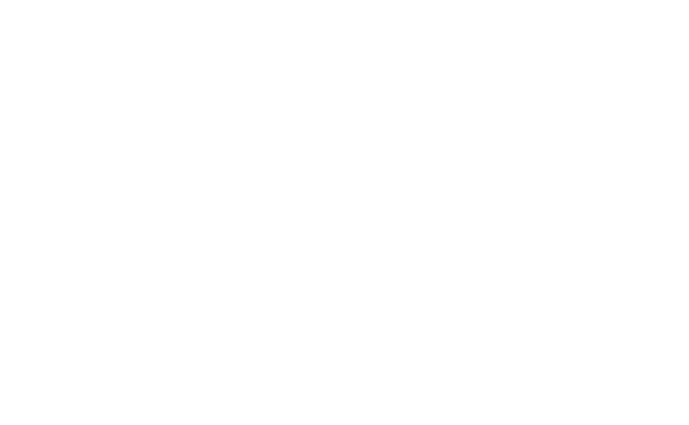 NSS Logo