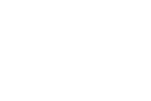 NSS 徽标