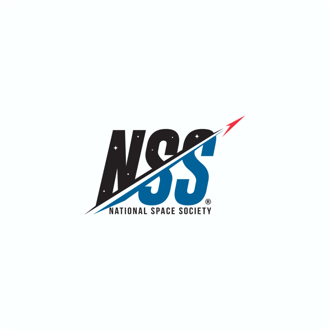 Logotipo de NSS